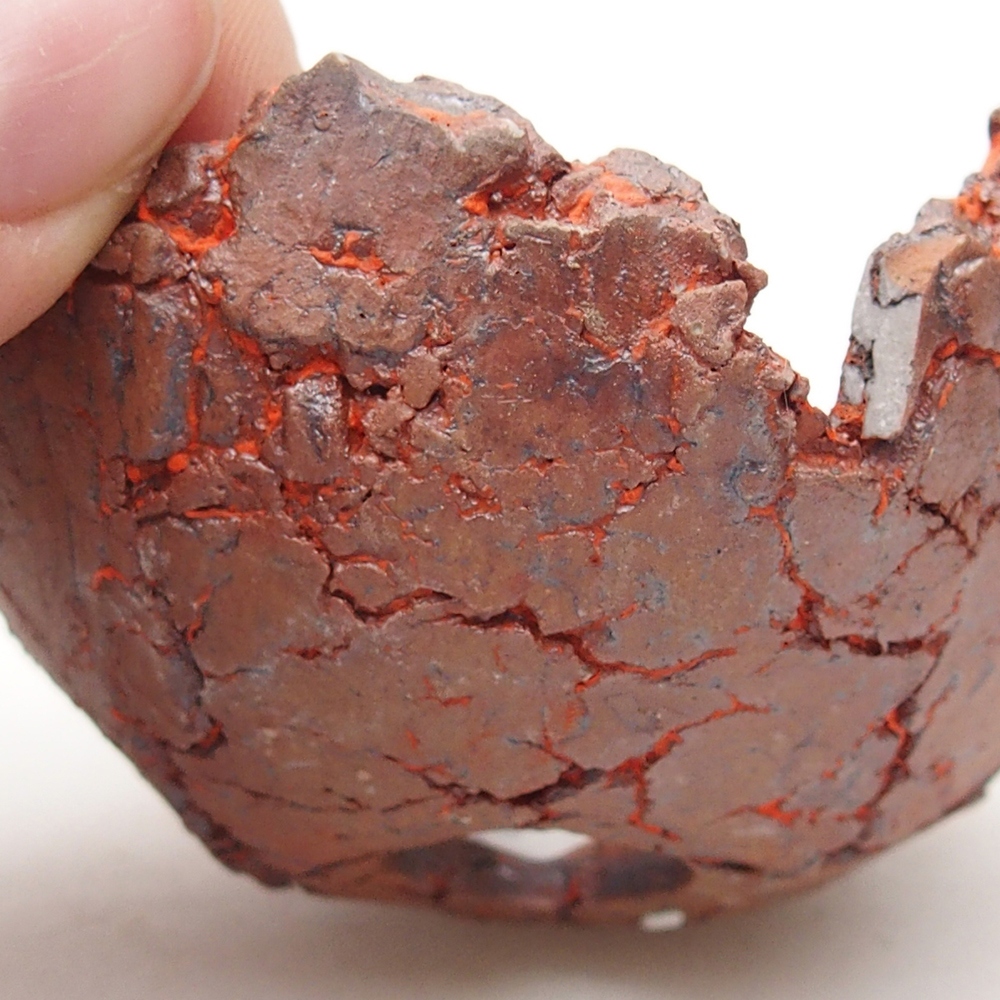 Ceramiczna muszla 7 x 7 x 4 cm, kolor pomarańczowy