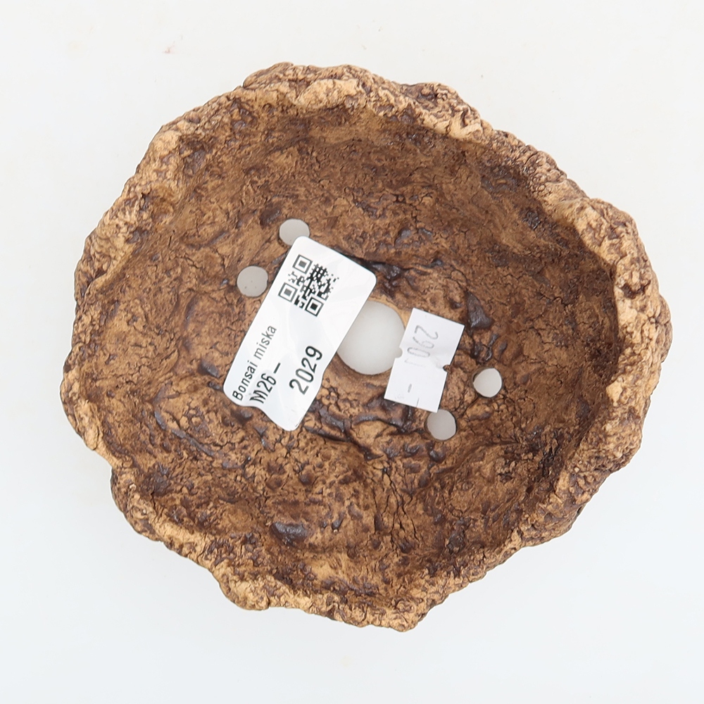 Ceramiczna muszla 10 x 9,5 x 8 cm, kolor brązowy