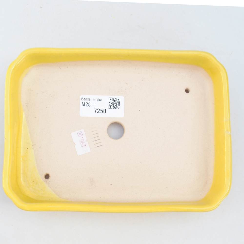 Ceramiczna miska do bonsai 18,5 x 13,5 x 3,5 cm, żółta
