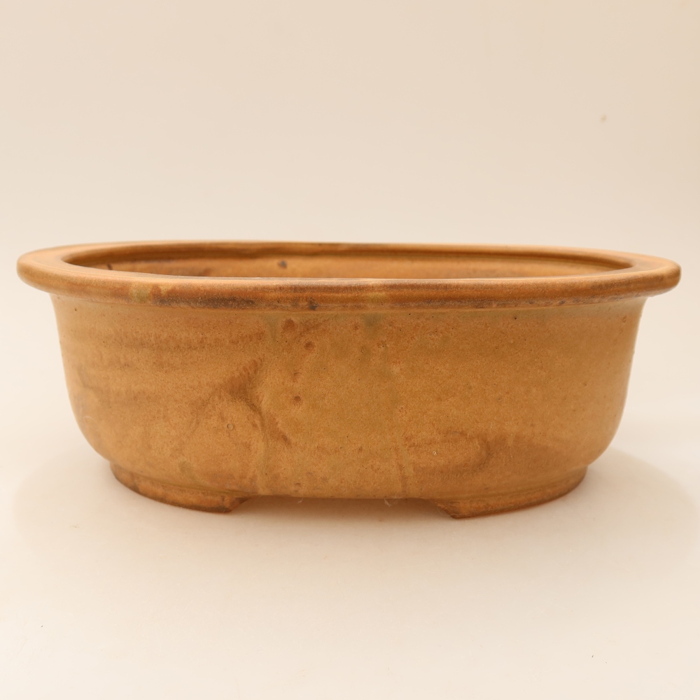 Ceramiczna miska do bonsai 23 x 19 x 8 cm, kolor beżowy