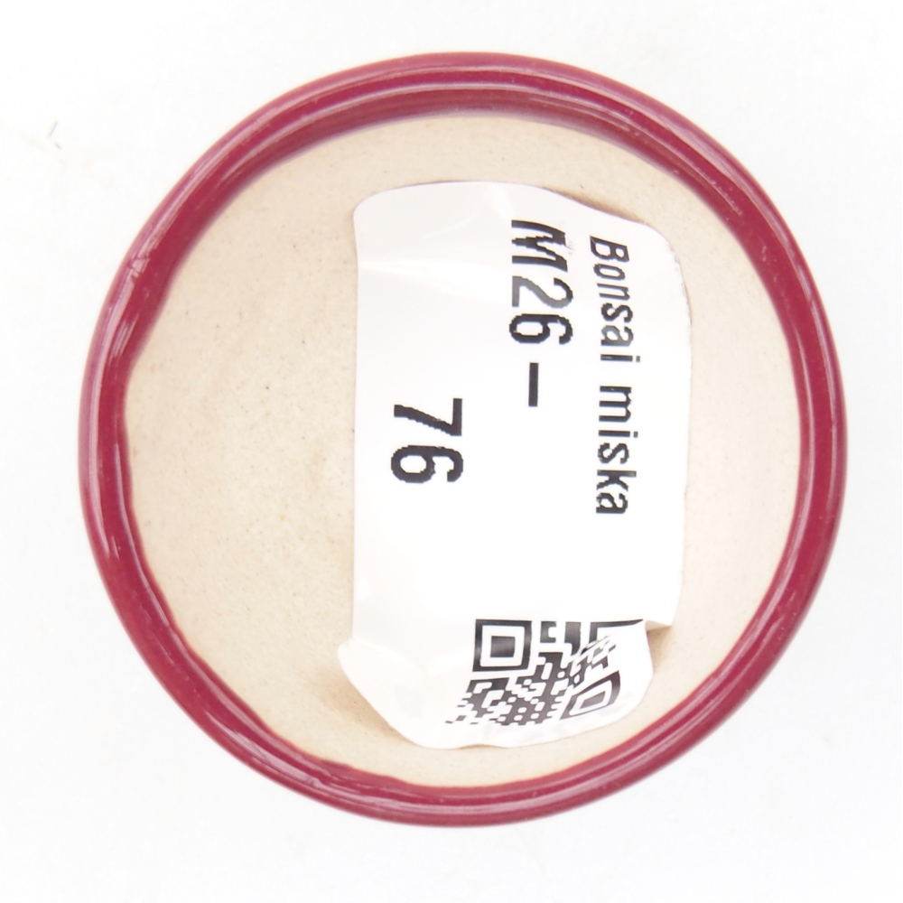 Mini miska do bonsai 4 x 4 x 2 cm, bordowa