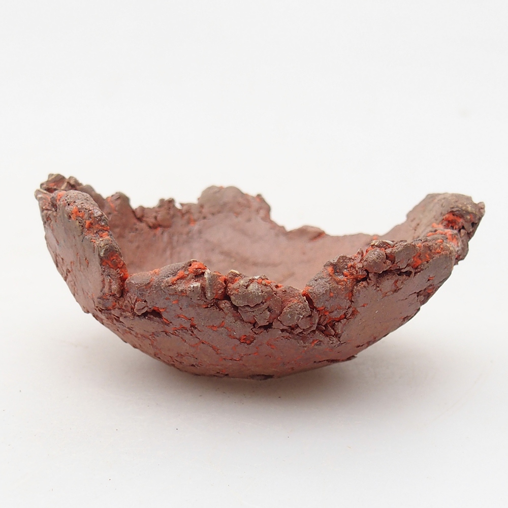 Ceramiczna muszla 7,5 x 6,5 x 3,5 cm, kolor pomarańczowy