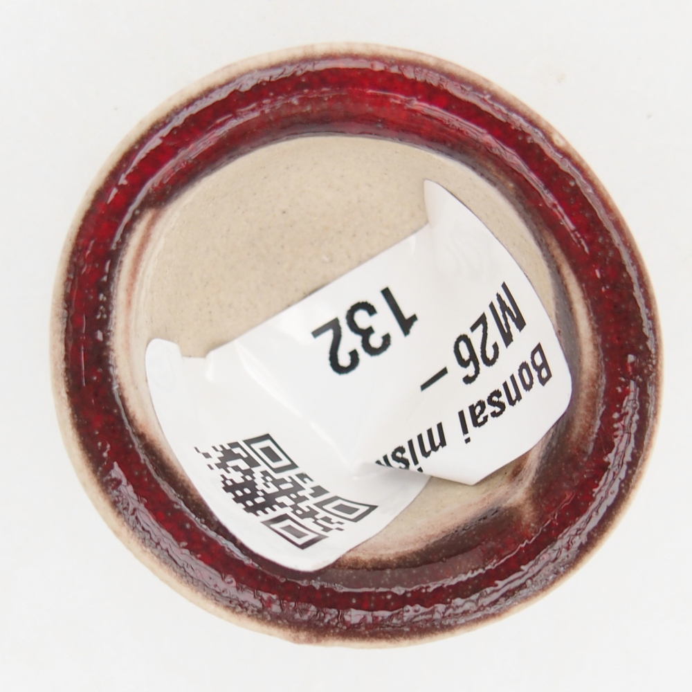 Mini miska do bonsai 3,5 x 3,5 x 2,5 cm, kolor czerwony