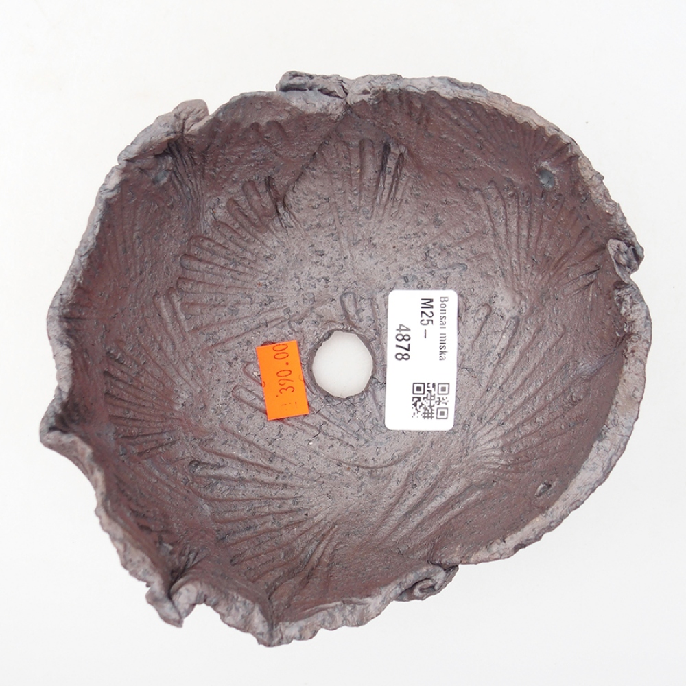 Muszla ceramiczna 13 x 12,5 x 8 cm, kolor metaliczny