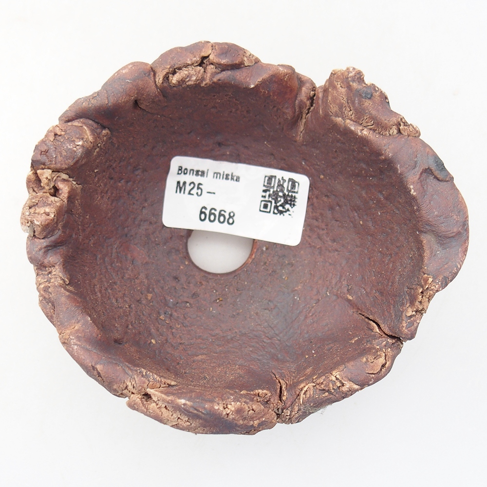Ceramiczna muszla 10 x 9 x 5,5 cm, kolor brązowy