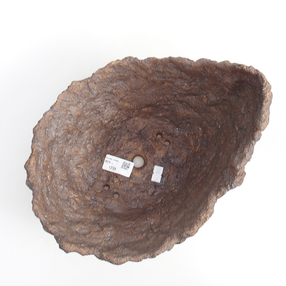 Ceramiczna skorupa 19 x 15 x 14 cm, kolor brązowy