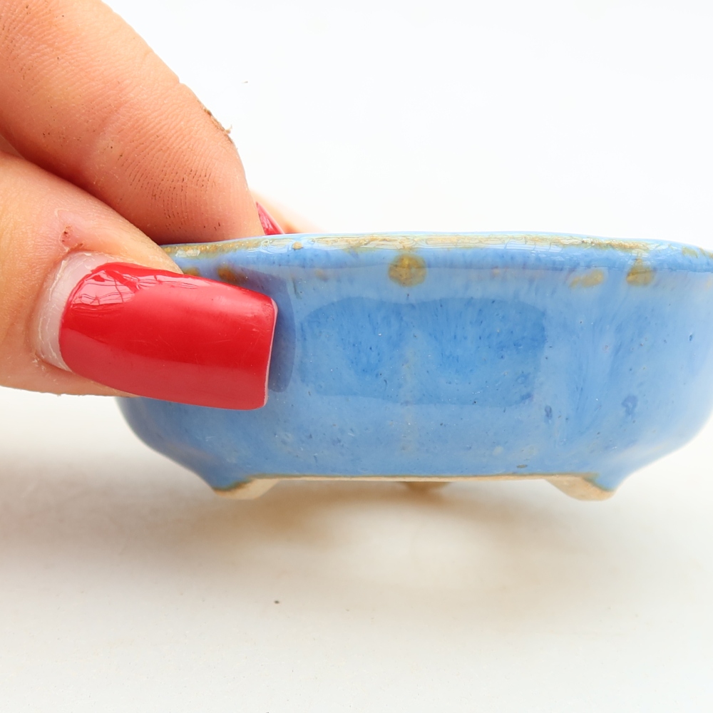 Ceramiczna miseczka do bonsai 7 x 7 x 2,5 cm, kolor niebieski