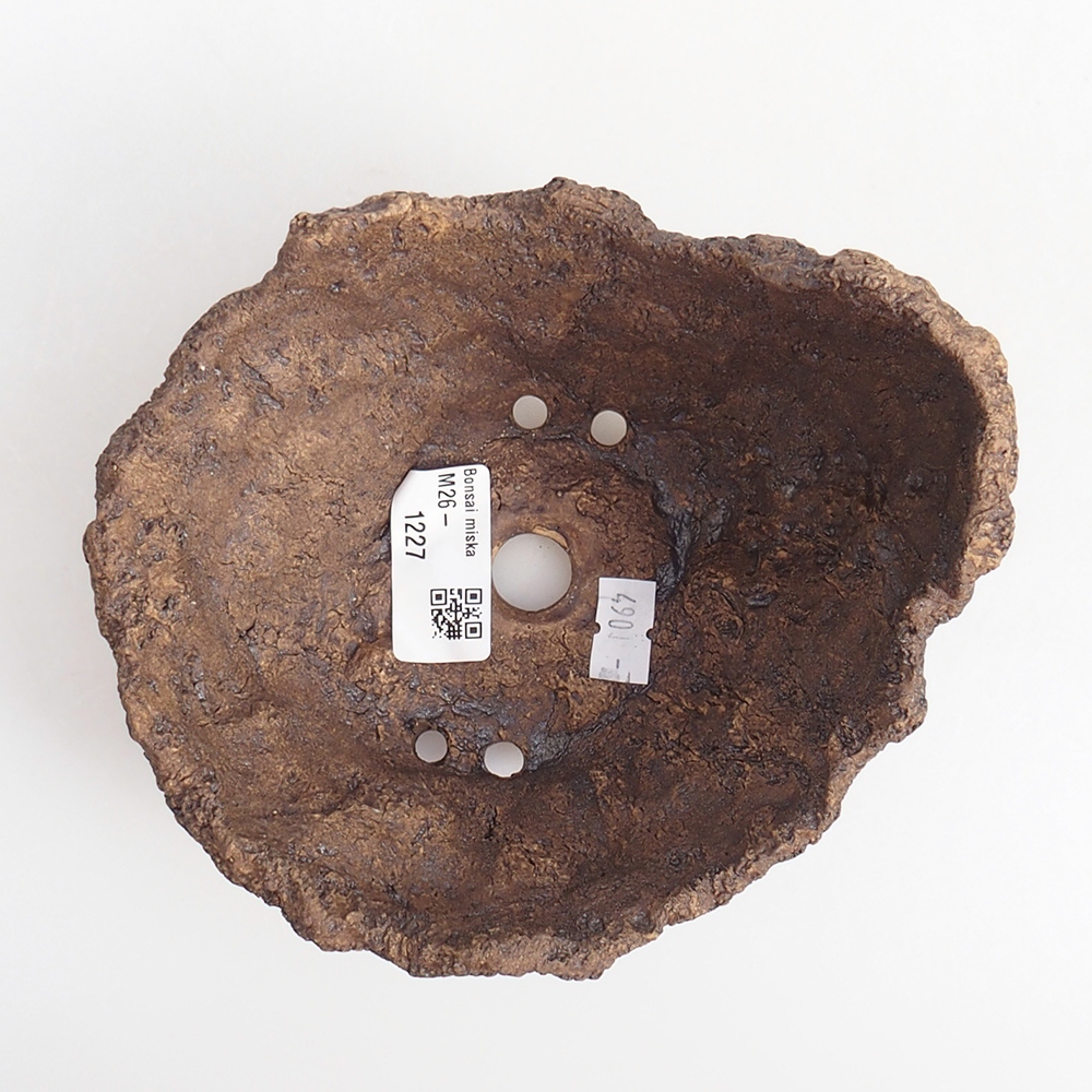 Ceramiczna skorupa 14 x 13 x 12 cm, kolor brązowy