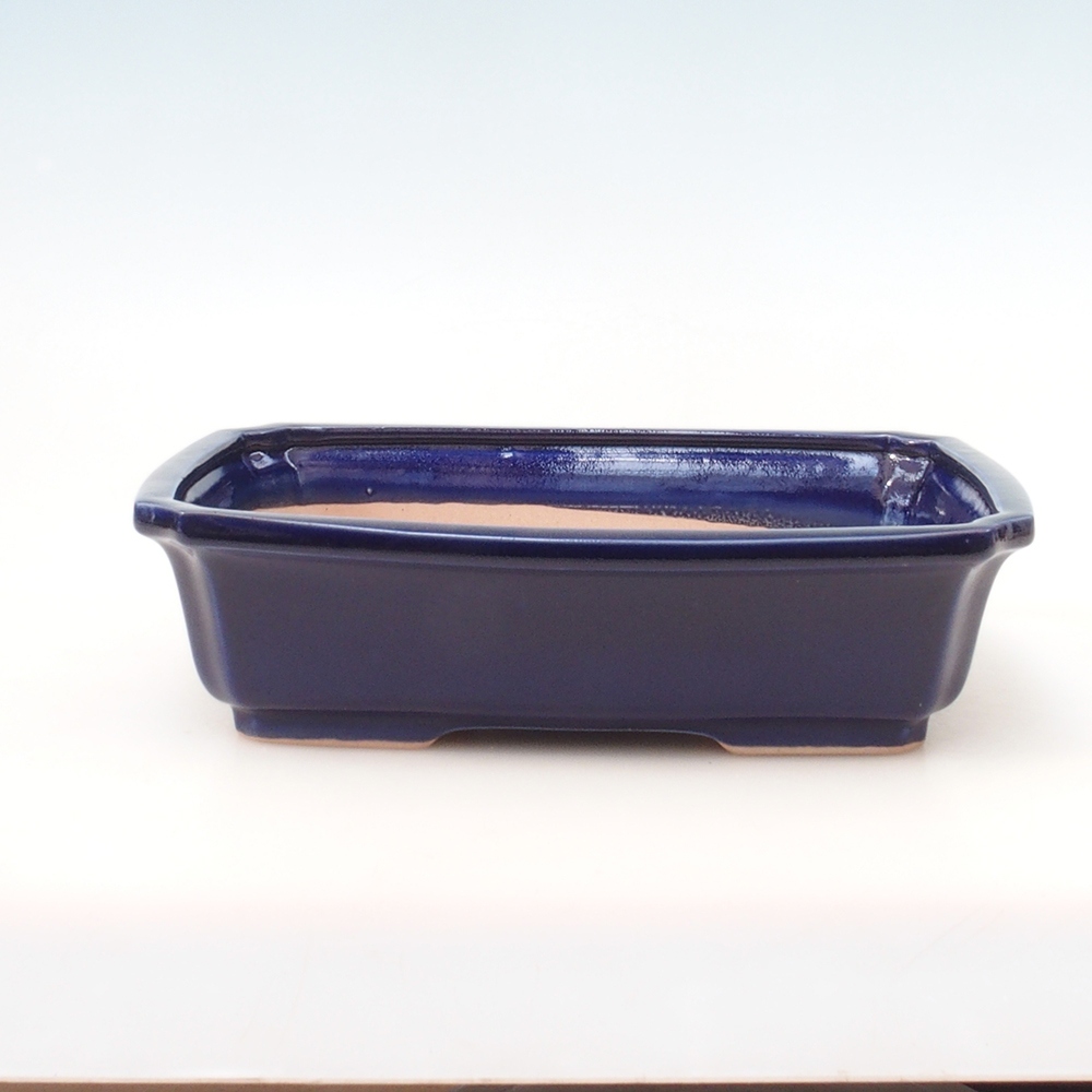 Bonsai bowl H07 - 30 x 20,5 x 8 cm. - niebieski