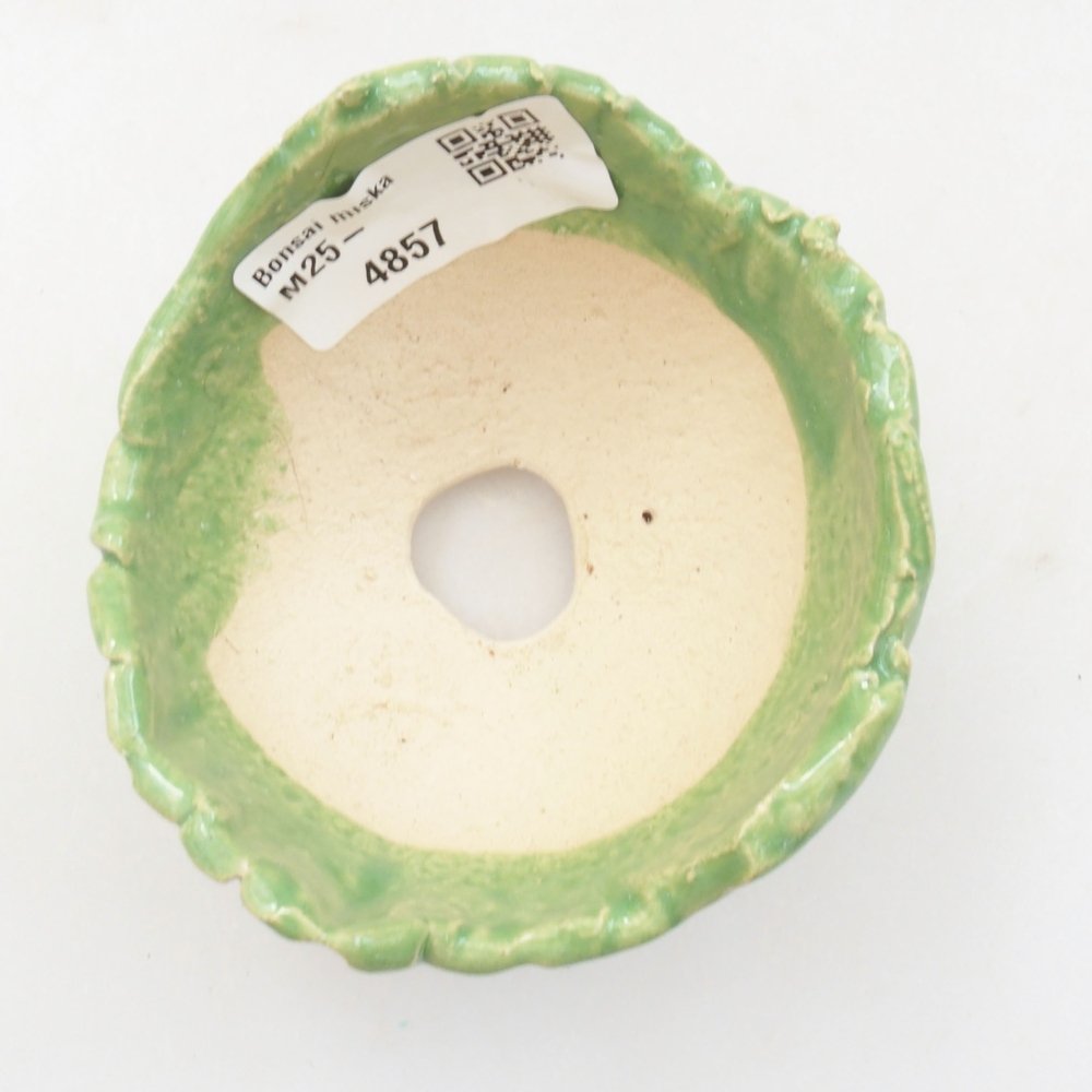 Muszla ceramiczna 7,5 x 7 x 5,5 cm, kolor zielony