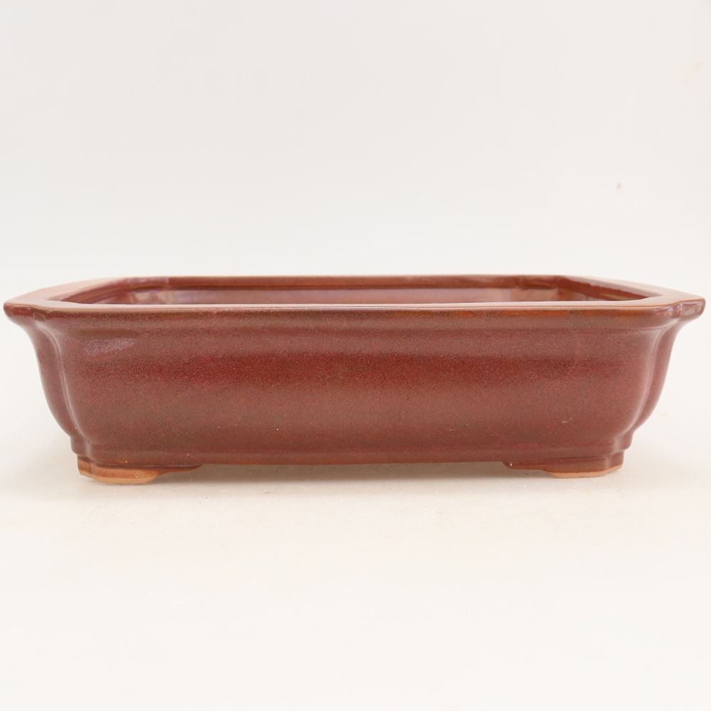 Ceramiczna miska do bonsai 27,5 x 21,5 x 7 cm, kolor bordowy