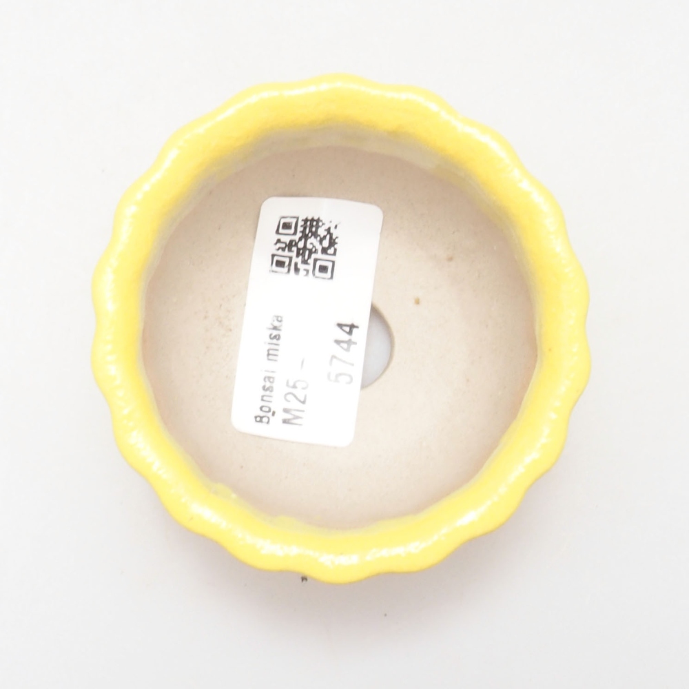 Ceramiczna miska bonsai 7 x 3 x 3,5 cm, żółta