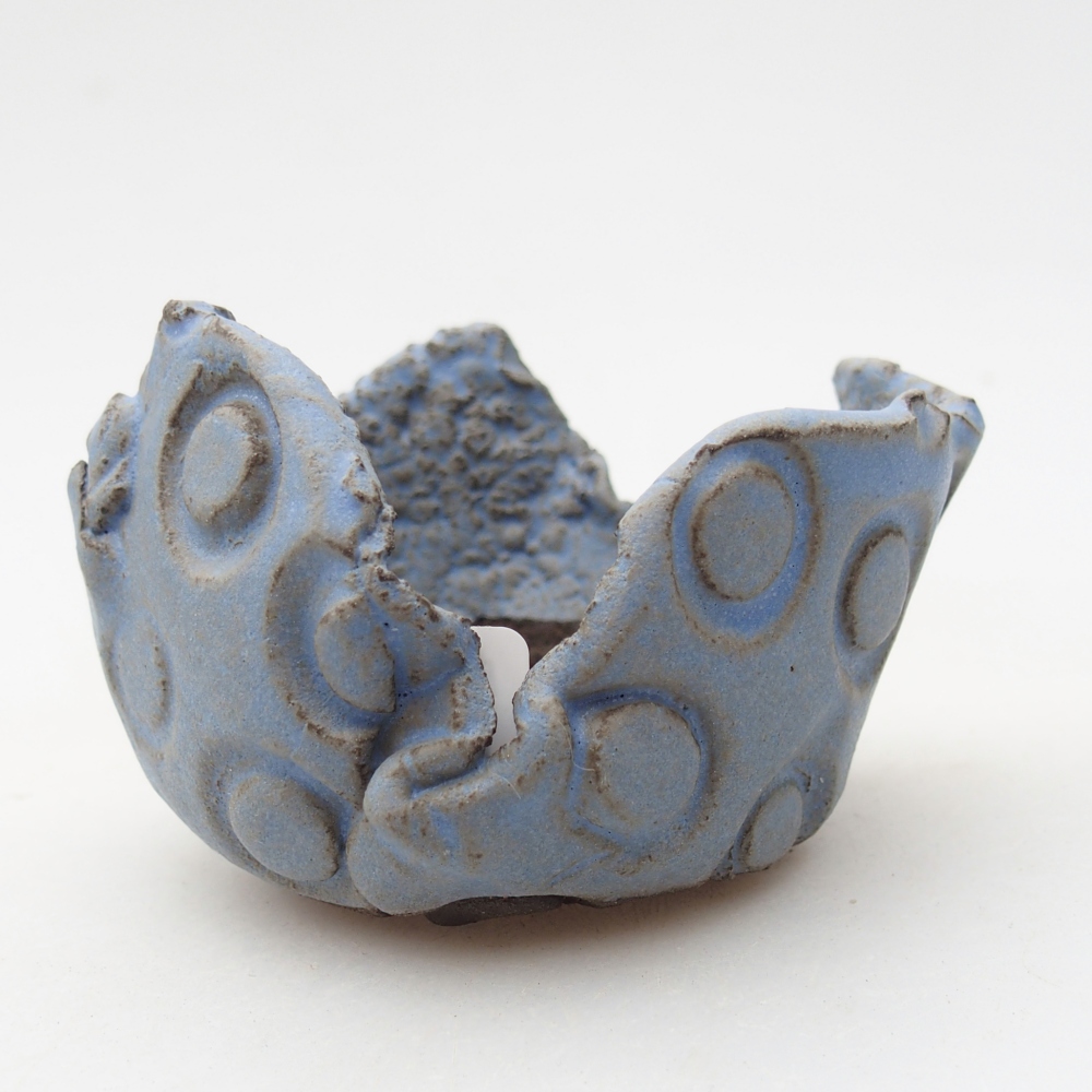 Ceramiczna muszla 7 x 8 x 5,5 cm, kolor niebieski