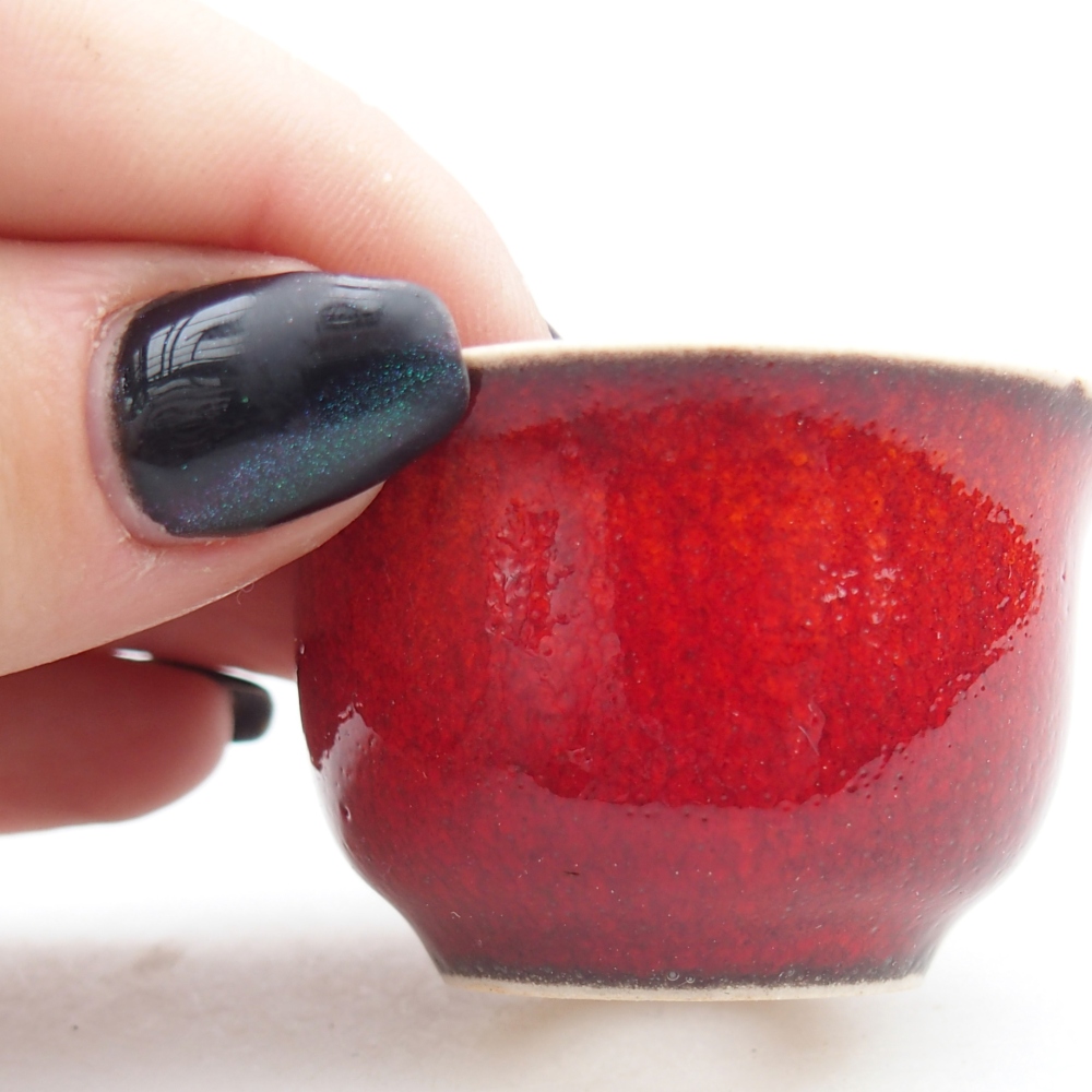 Mini miska do bonsai 5 x 5 x 3 cm, kolor czerwony