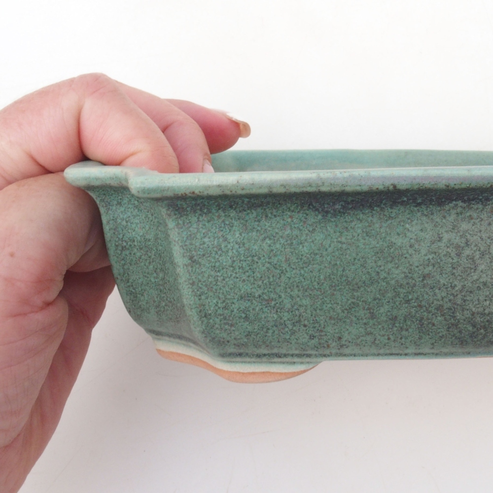 Bonsai bowl H03 - 16,5 x 12 x 4,5 cm. - zielony