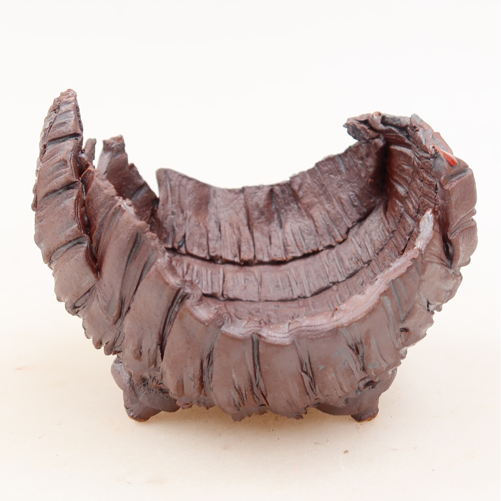 Ceramiczna skorupka  9,5 x 9,5 x 7 cm, kolor brązowy