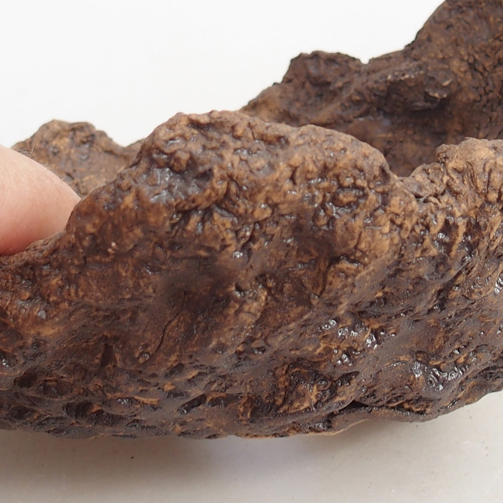 Ceramiczna skorupa 14,5 x 13 x 13 cm, kolor brązowy