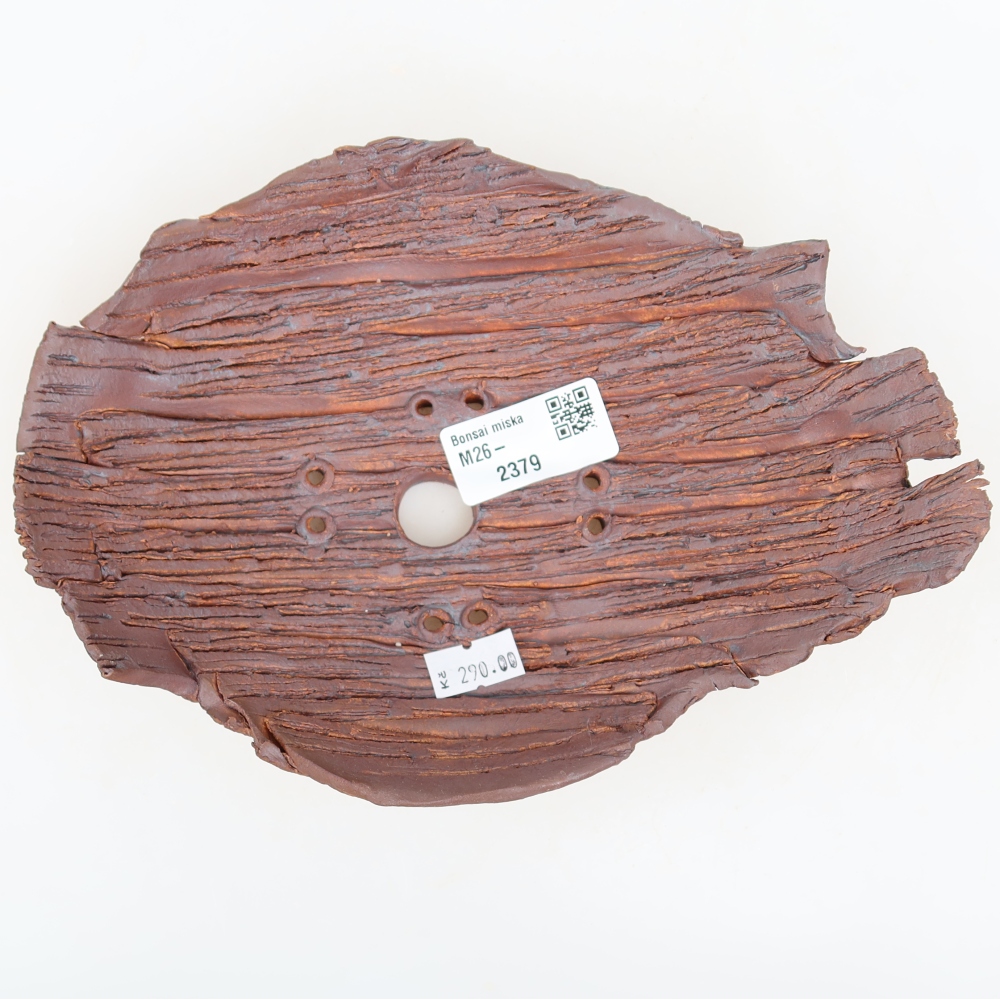 Ceramiczna skorupa  21 x 15 x 5,5 cm, kolor brązowy