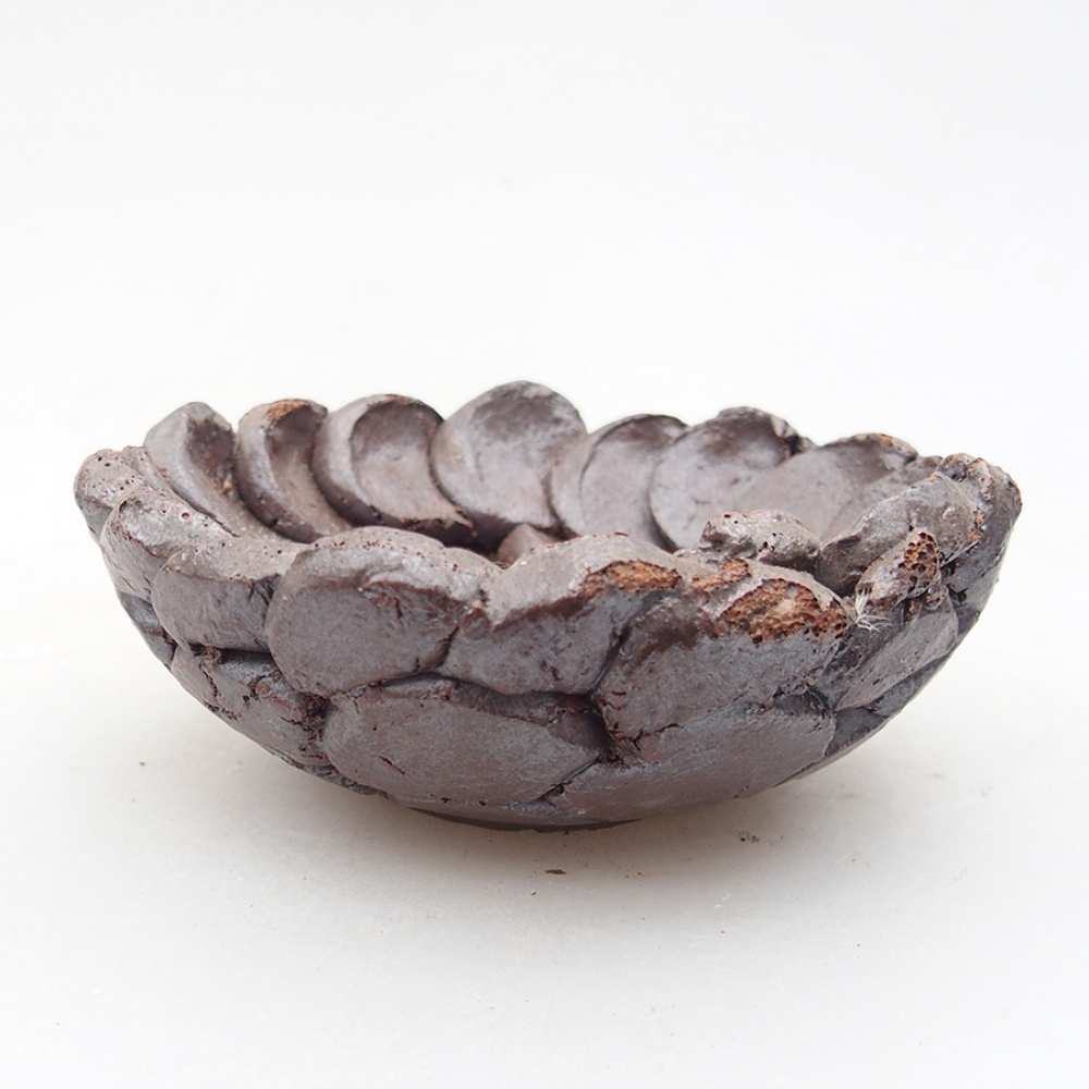 Muszla ceramiczna 9 x 9 x 4 cm, kolor brązowy