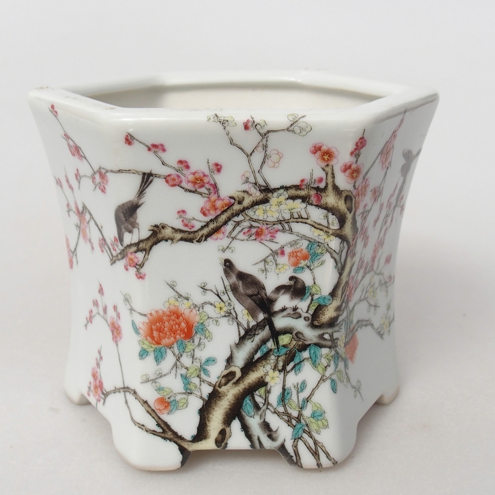 Ceramiczna miska do bonsai 10,5 x 9,5 x 9 cm, kolor biały