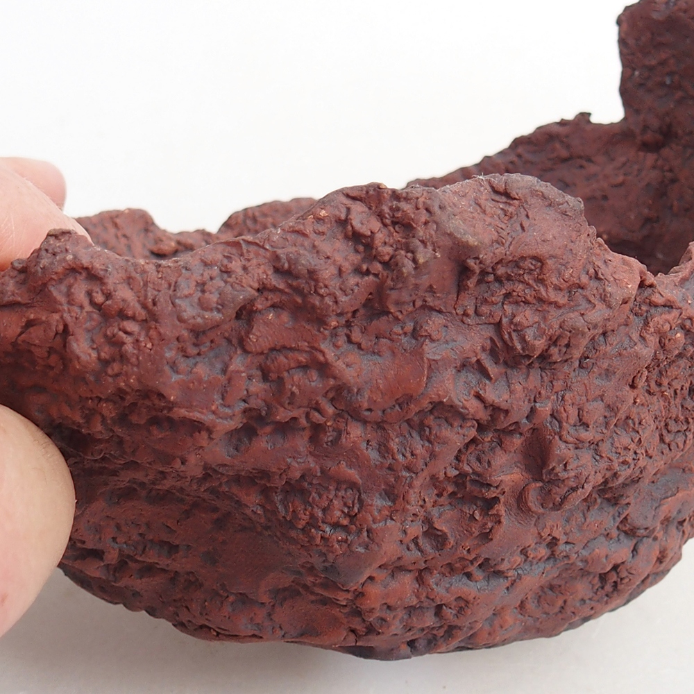 Ceramiczna muszla 13 x 11,5 x 10,5 cm, kolor brązowy