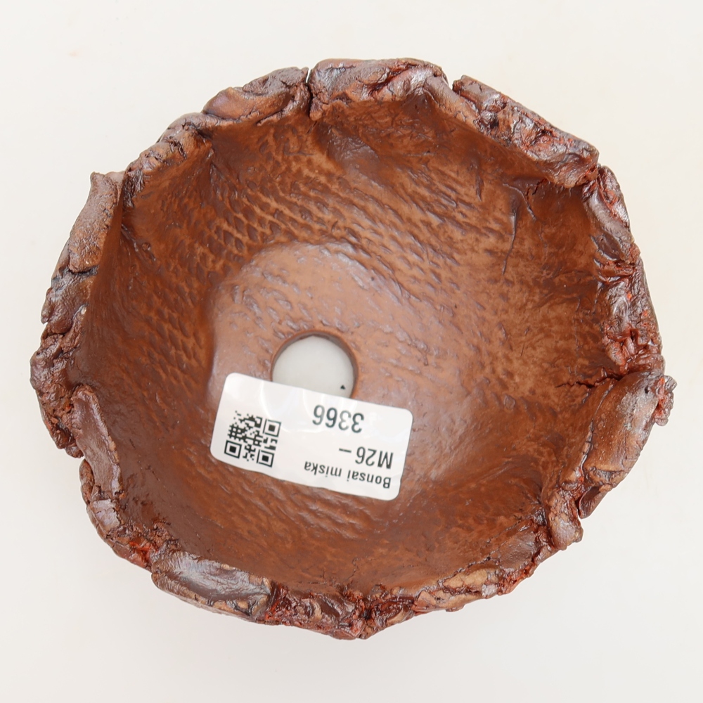 Muszla ceramiczna 10 x 10 x 7 cm, kolor brązowy