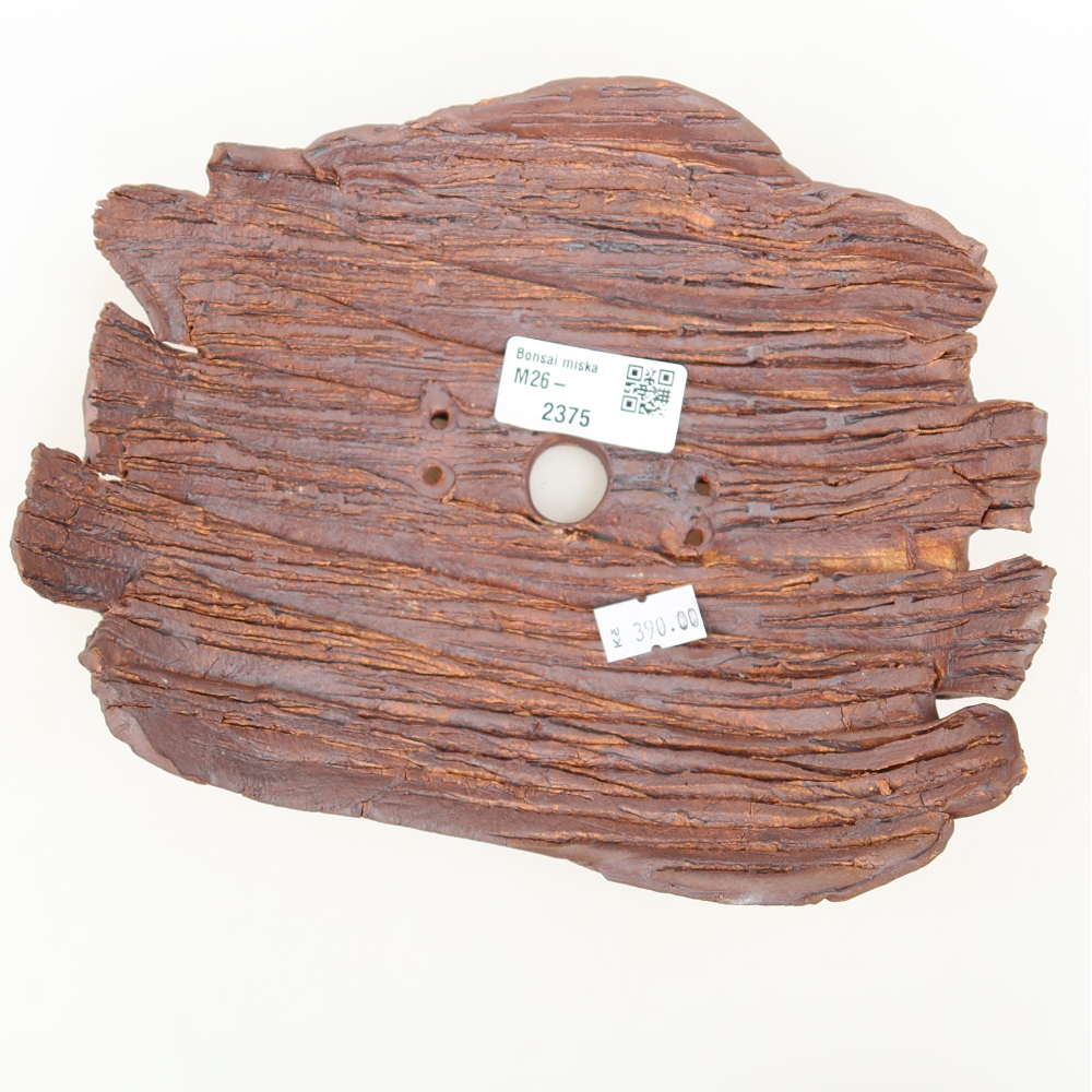 Ceramiczna skorupa  20 x 15,5 x 6 cm, kolor brązowy