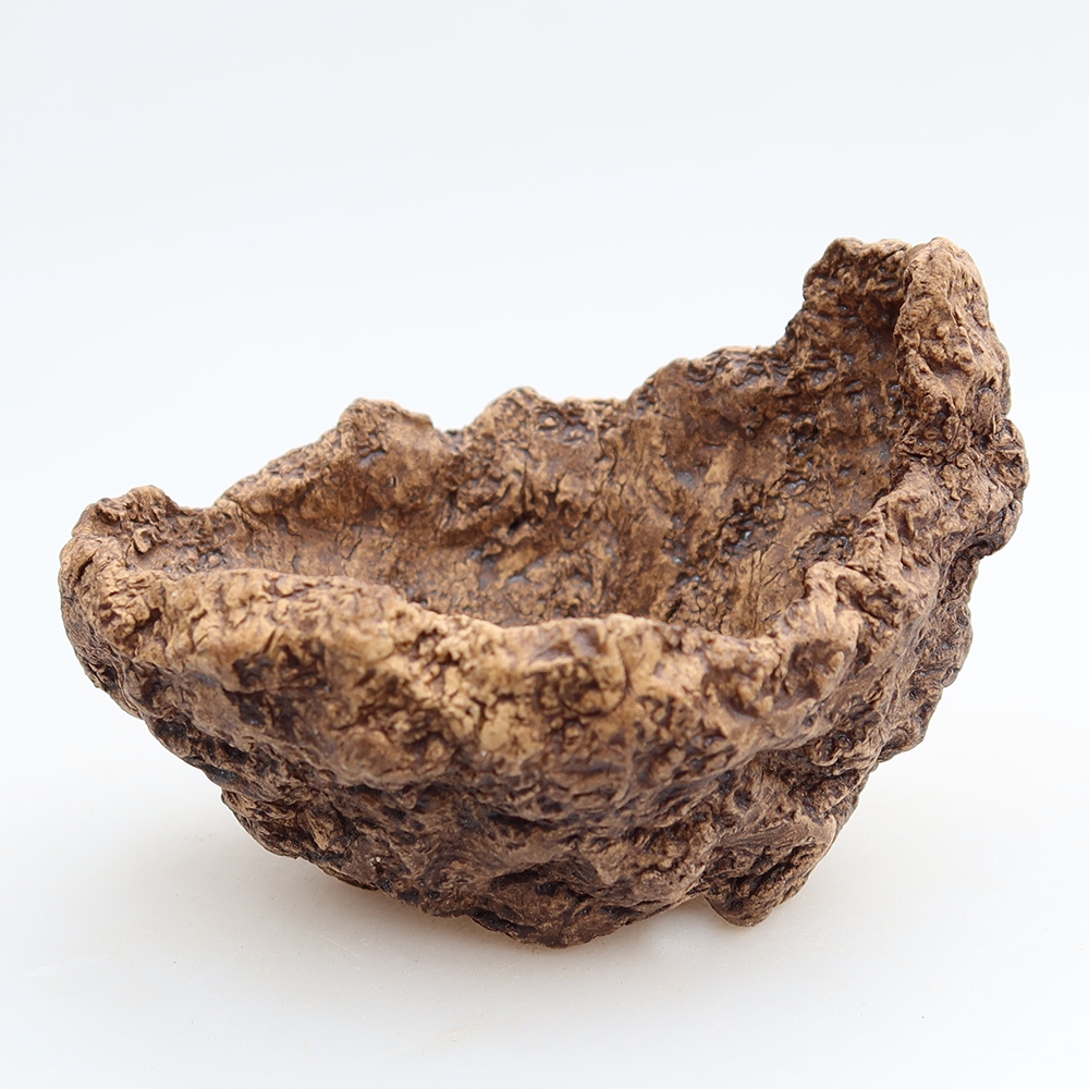 Ceramiczna skorupa 10 x 9 x 8 cm, kolor brązowy