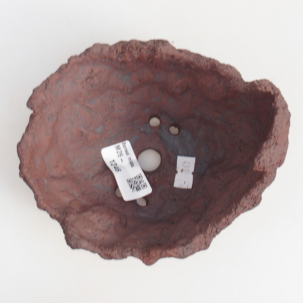 Ceramiczna muszla 13 x 11 x 12 cm, kolor brązowy