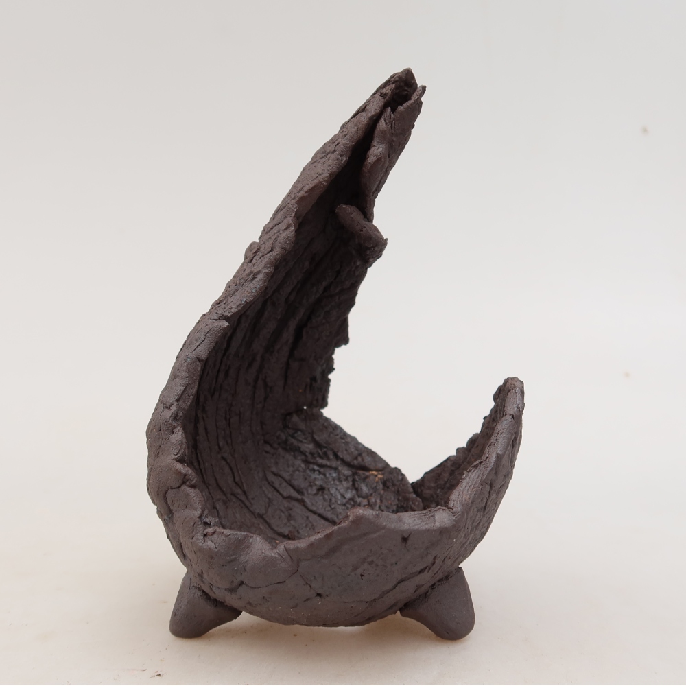 Ceramiczna skorupa  7,5 x 8 x 13 cm, kolor brązowy