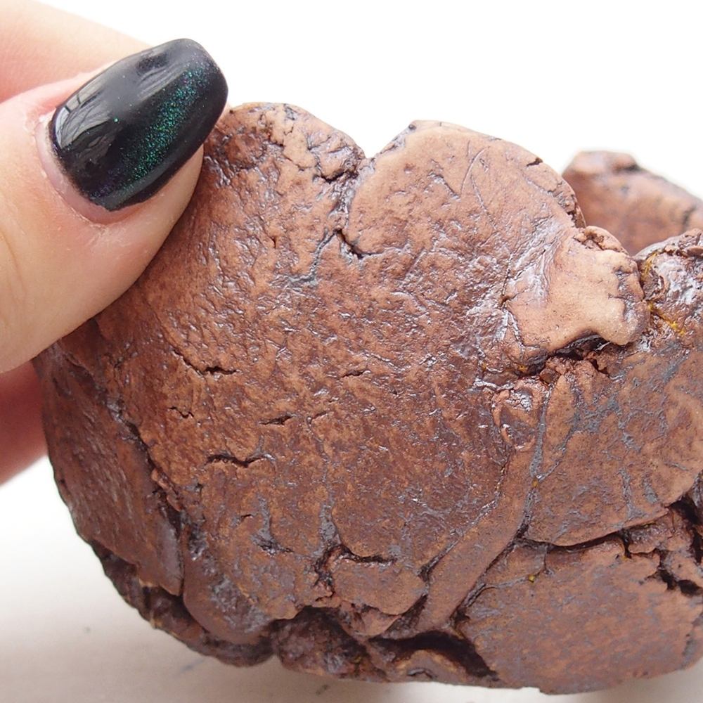 Muszla ceramiczna 9,5 x 8,5 x 5,5 cm, kolor brązowy