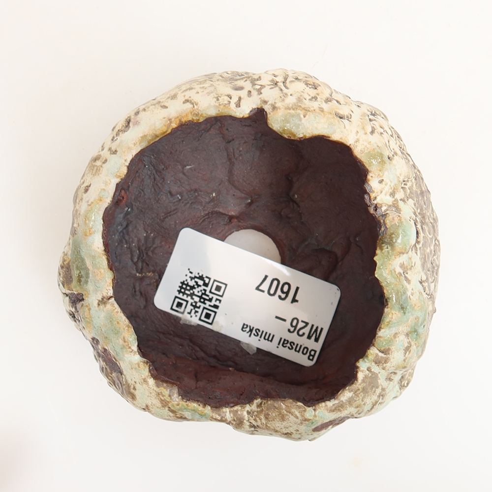 Ceramiczna skorupka  6 x 5 x 5 cm, kolor zielony