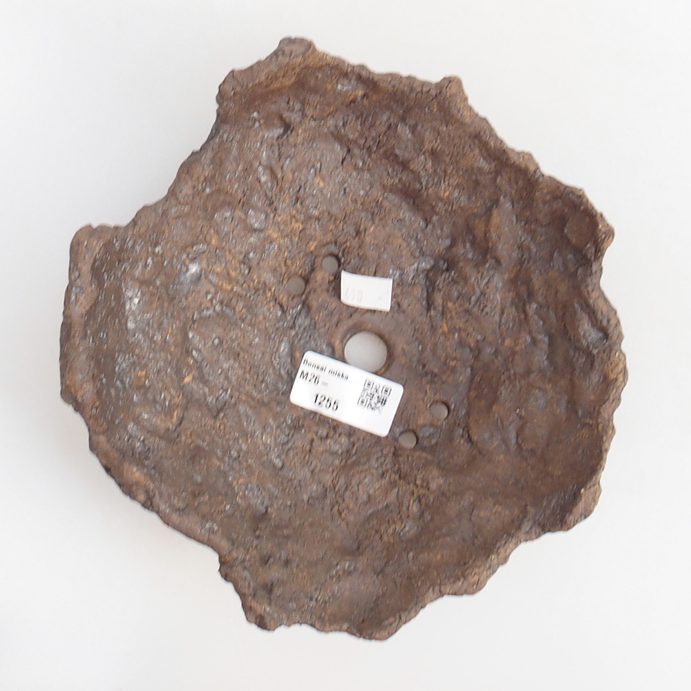 Ceramiczna skorupa 19 x 15 x 14 cm, kolor brązowy