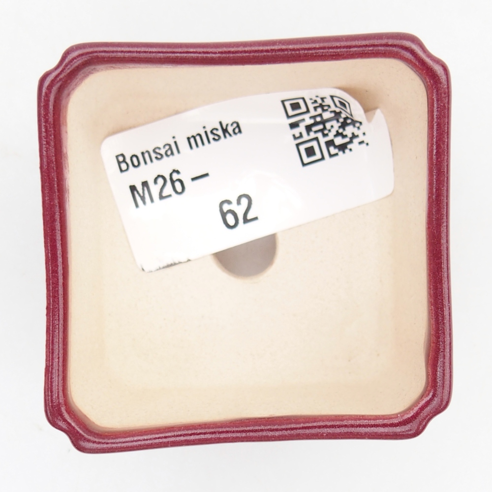 Mini miska do bonsai 5 x 5 x 3 cm, bordowa