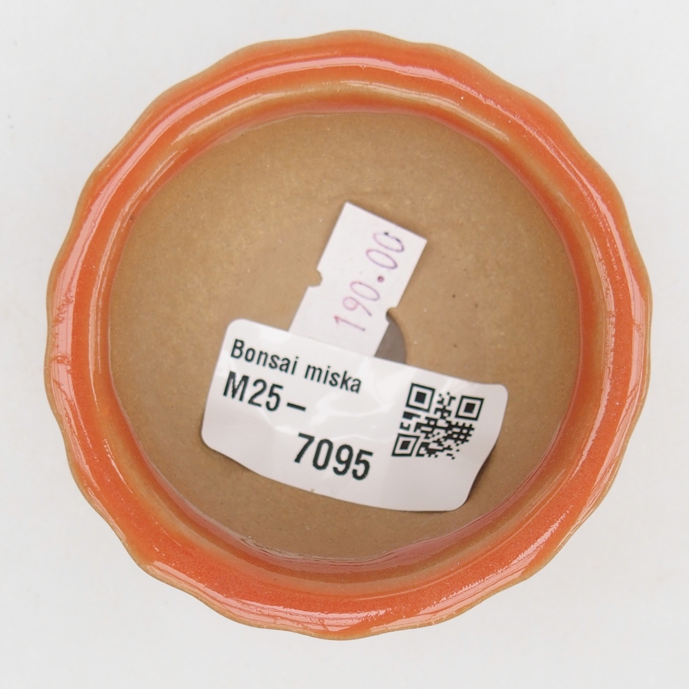Ceramiczna miska na bonsai 7 x 8,5 x 3,5 cm, pomarańczowa