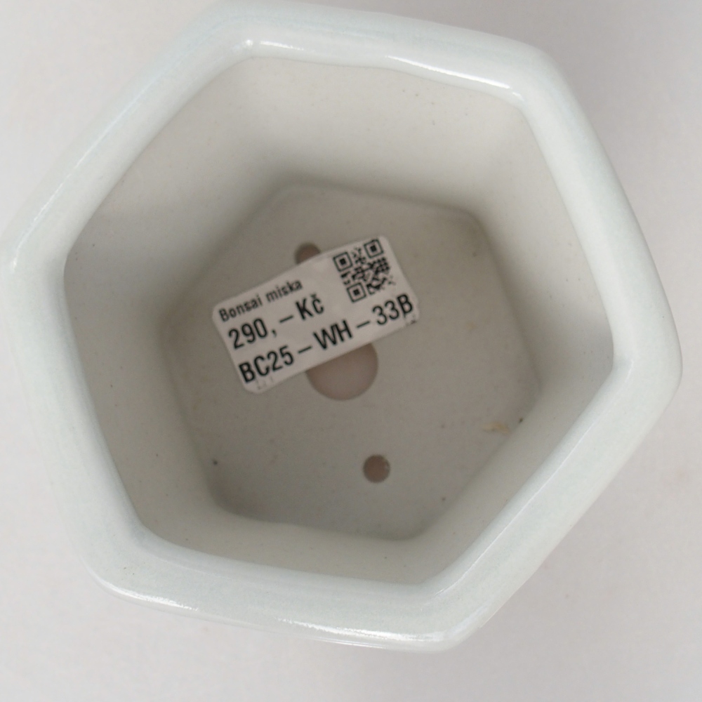 Ceramiczna miska do bonsai 10,5 x 9,5 x 9 cm, kolor biały
