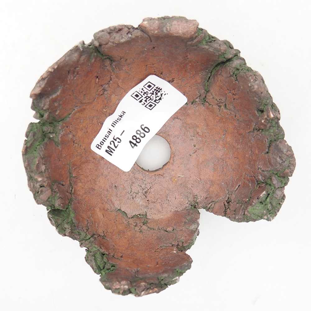 Muszla ceramiczna 8,5 x 8,5 x 5 cm, kolor zielony
