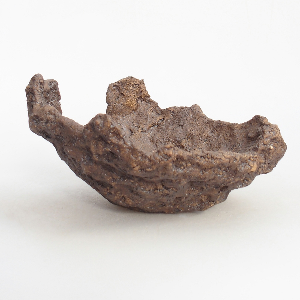 Ceramiczna skorupa 19 x 15 x 14 cm, kolor brązowy