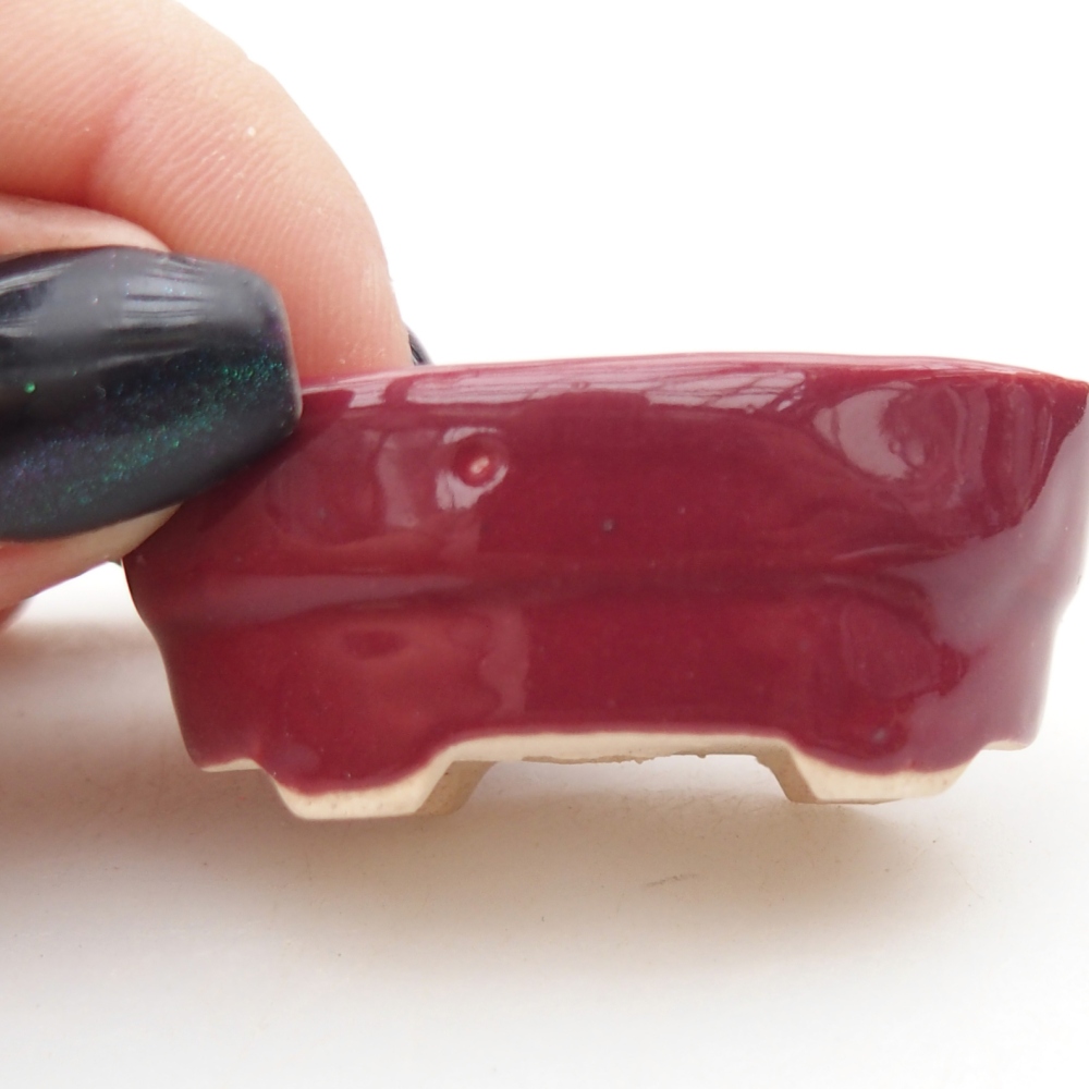 Mini miska do bonsai 4 x 2,5 x 2 cm, bordowa