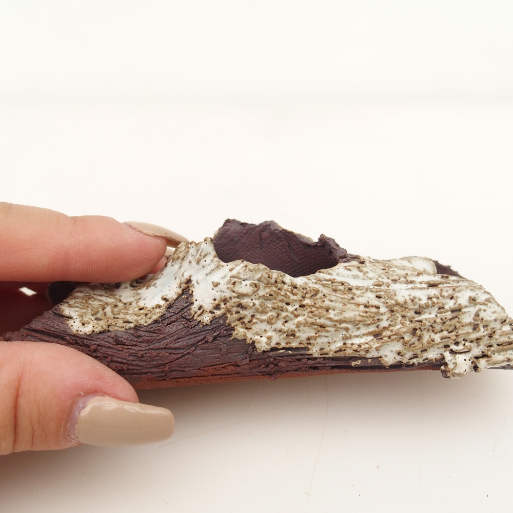 Muszla ceramiczna 11 x 4 x 3 cm, kolor beżowy