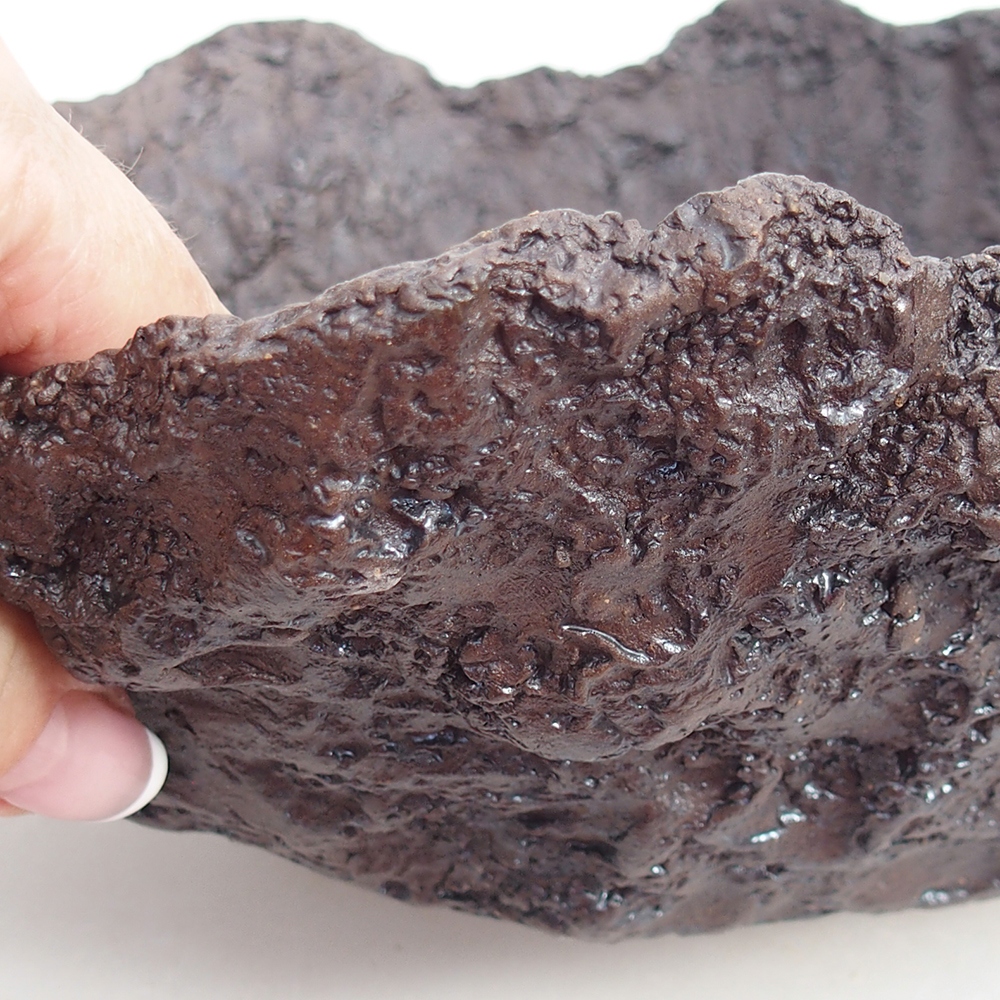 Ceramiczna skorupa 19 x 15 x 14 cm, kolor brązowy