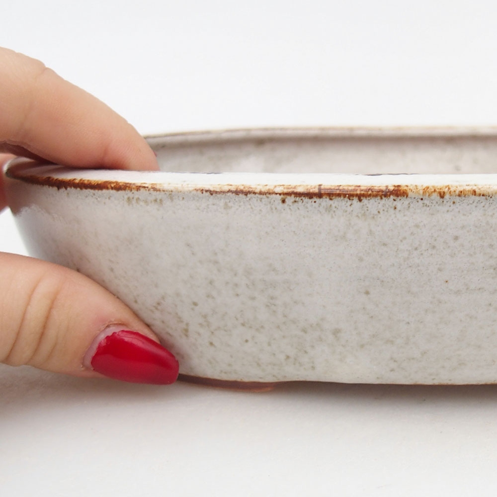 Ceramiczna miska na bonsai 22 x 17 x 4 cm, biała