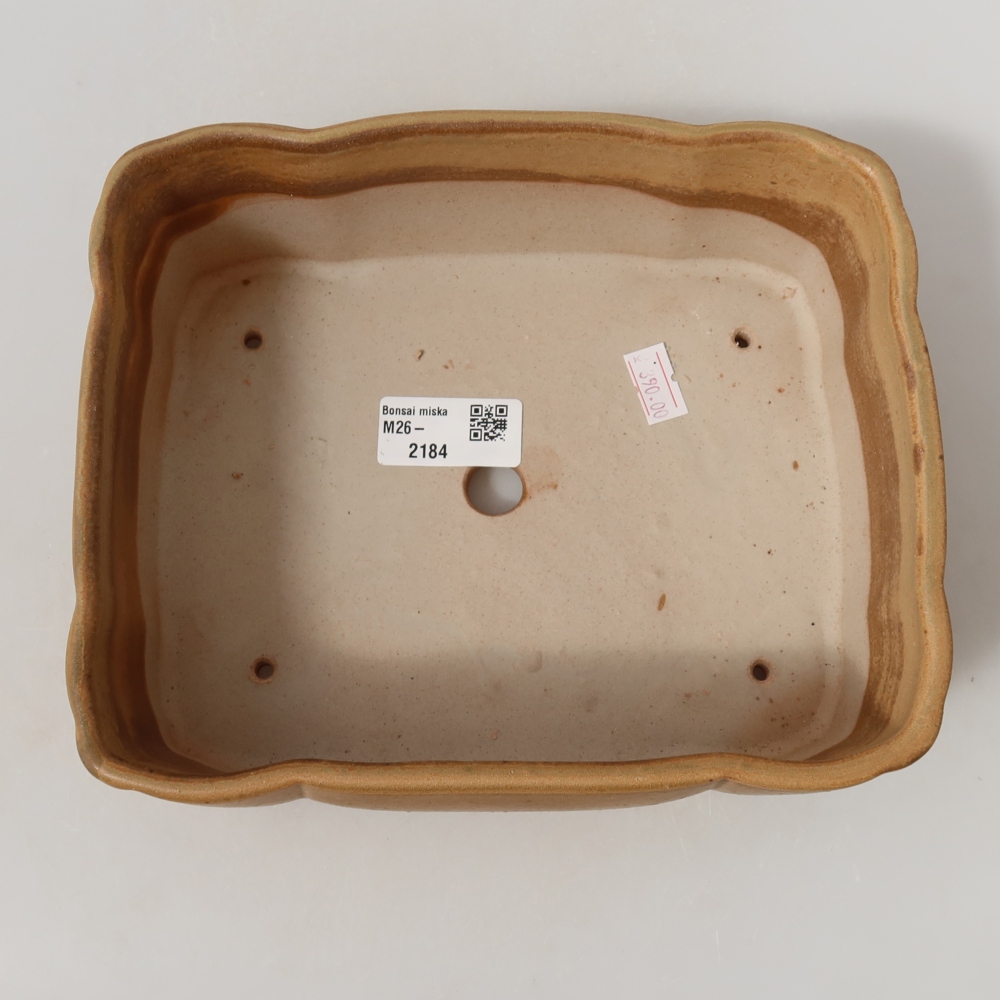 Ceramiczna miska do bonsai 20,5 x 17,5 x 7 cm, kolor beżowy