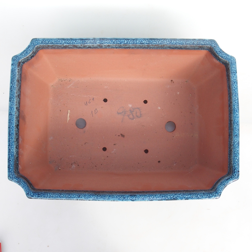 Miska 36,5 x 26 x 12,5 cm niebiesko-biała