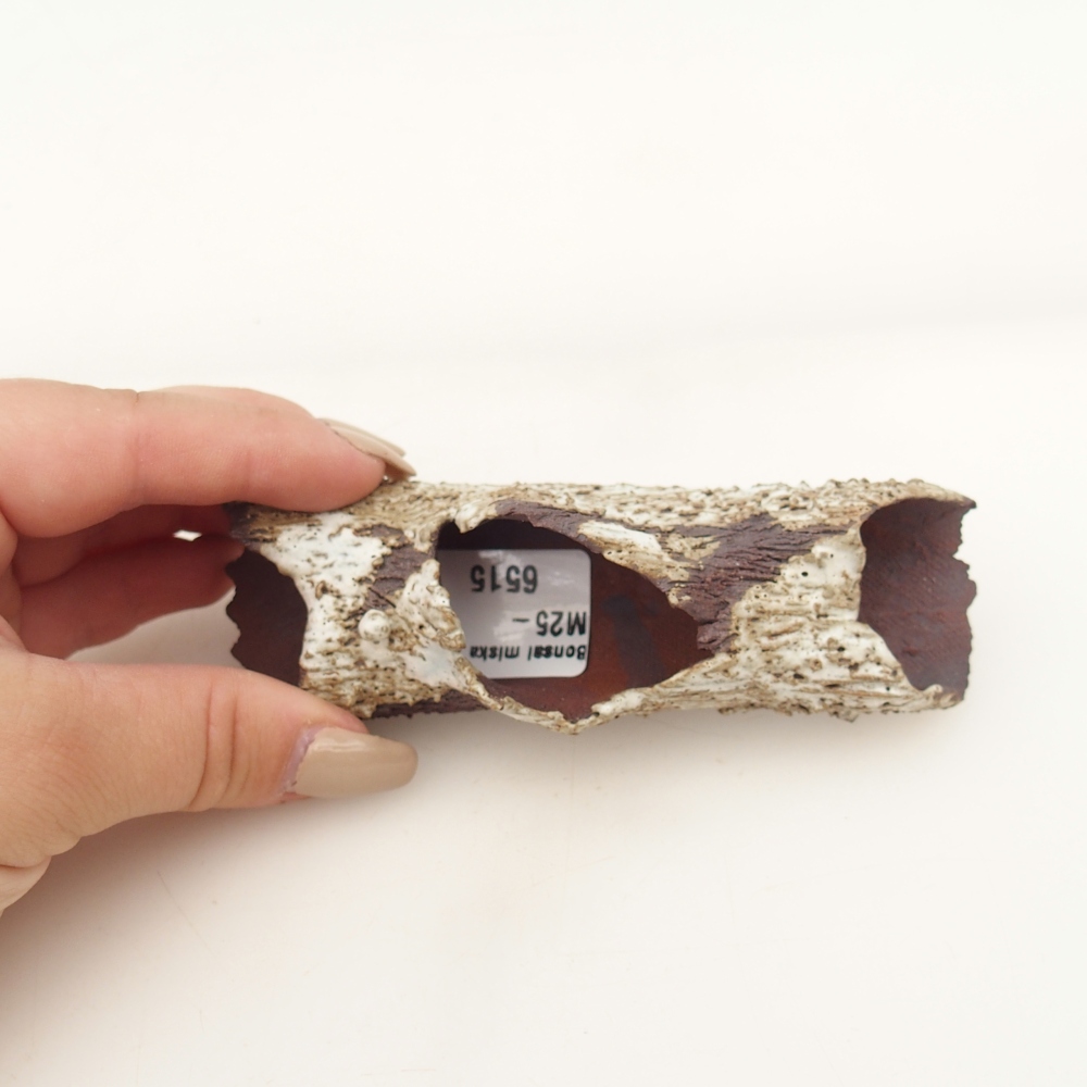 Muszla ceramiczna 11 x 4 x 3 cm, kolor beżowy