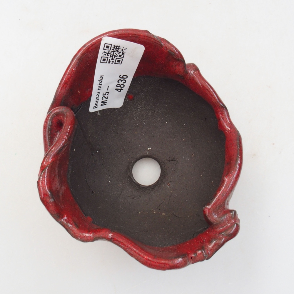 Muszla ceramiczna 9 x 8 x 6 cm, kolor czerwony