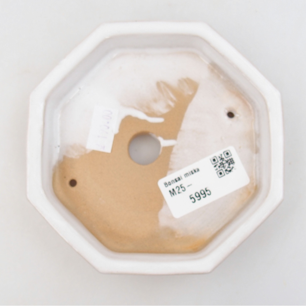 Ceramiczna miska bonsai 11,5 x 11,5 x 2,5 cm, kolor biały
