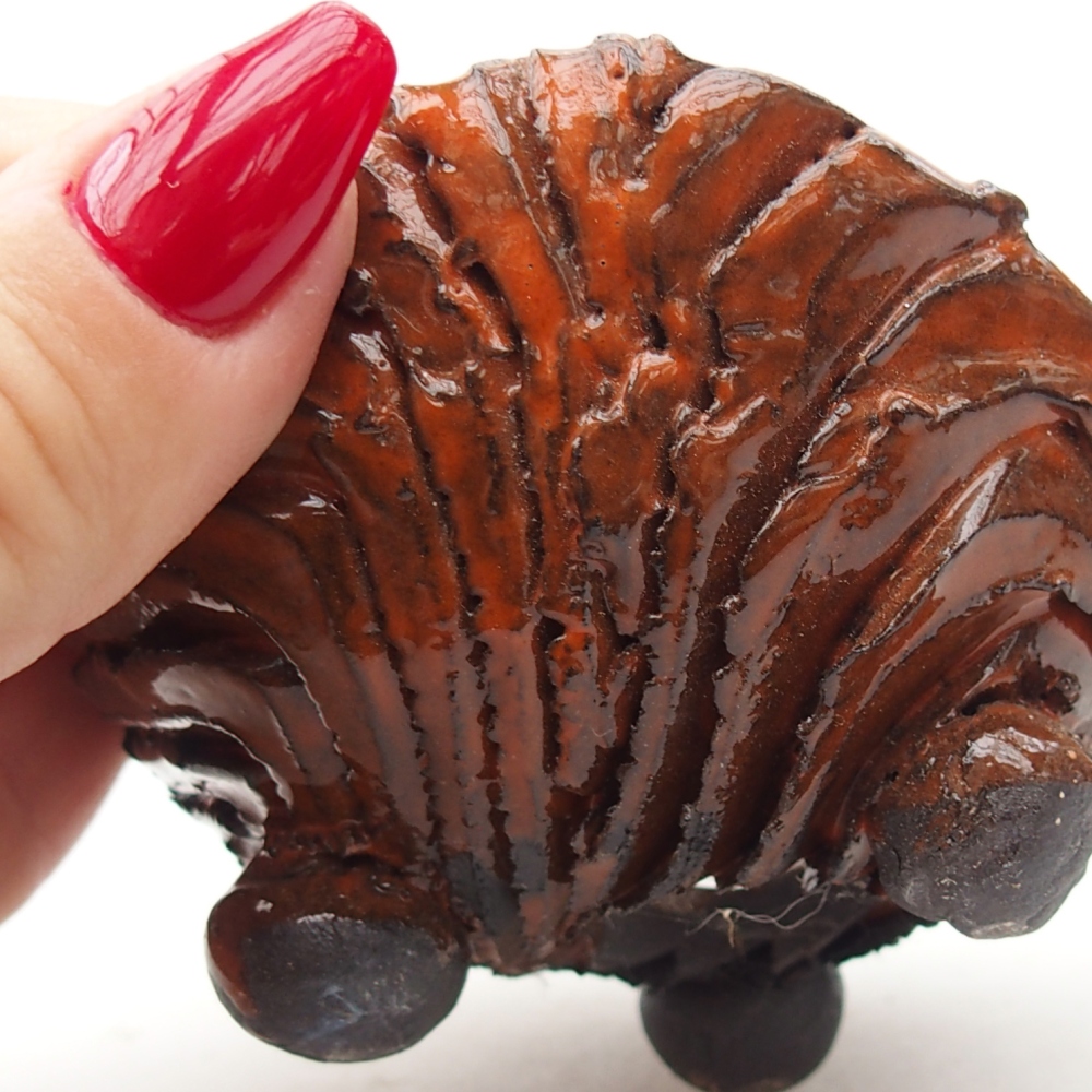 Ceramiczna skorupa 8,5 x 8,5 x 5 cm, kolor pomarańczowy