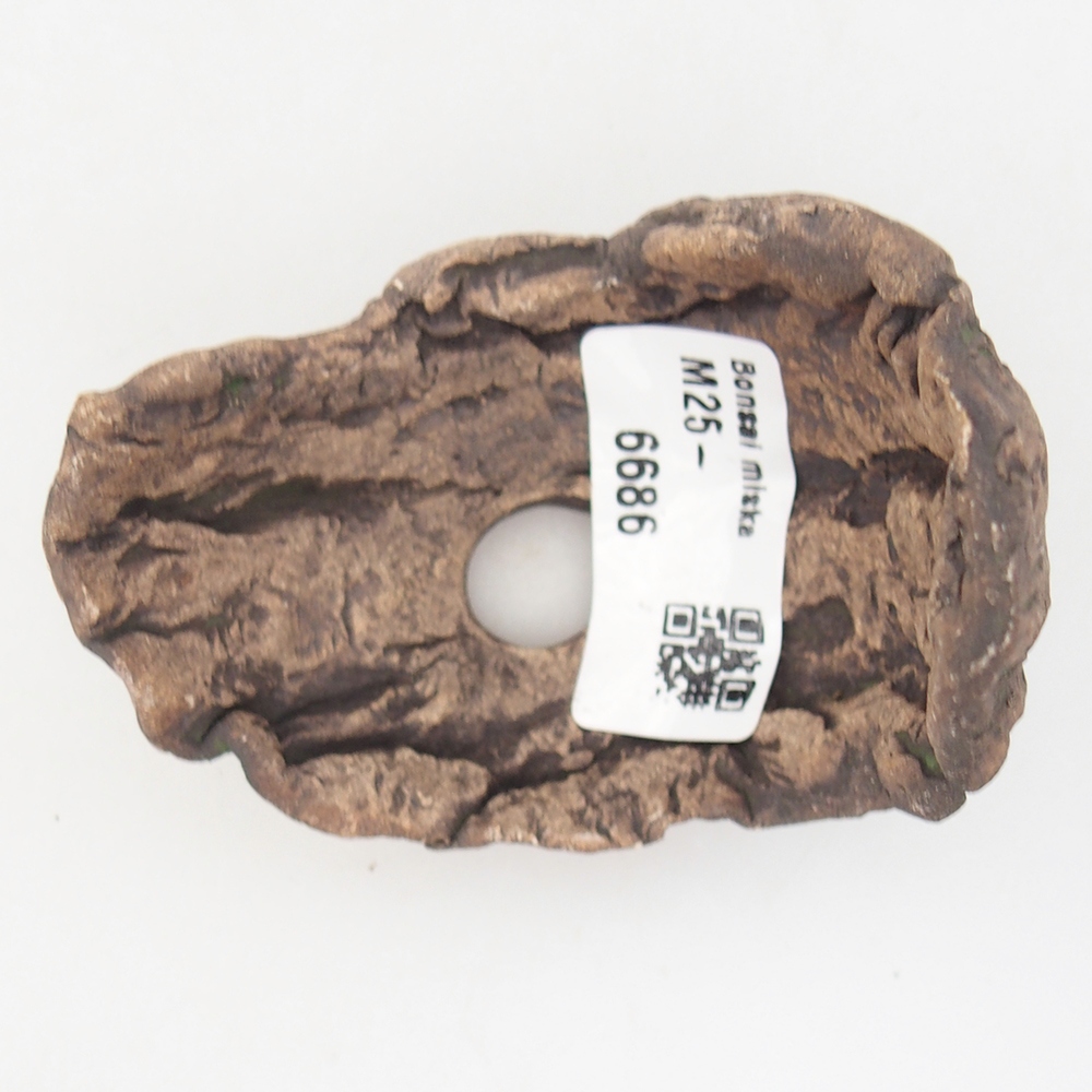 Ceramiczna skorupa 8 x 5,5 x 7 cm, kolor zielony