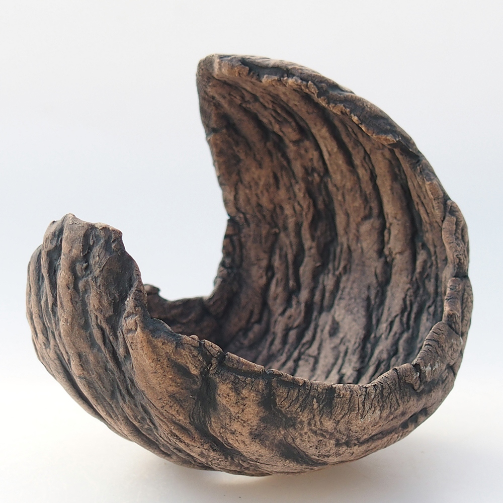 Ceramiczna muszla 10 x 9,5 x 10 cm, kolor brązowy